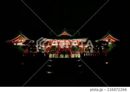 夏の夜の織姫神社 夏の夜の織姫神社 116872266