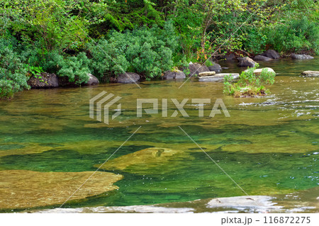 Potholes on the river in mountains among green trees in summer. Potholes on the river in mountains among green trees in summer. 116872275