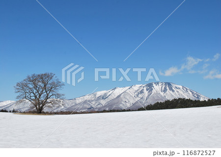 岩手 岩手 116872527