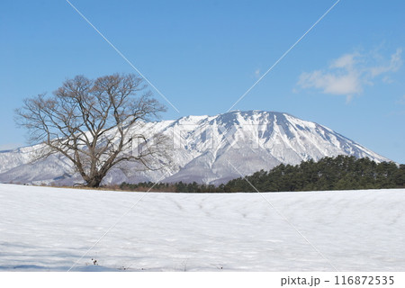岩手 岩手 116872535