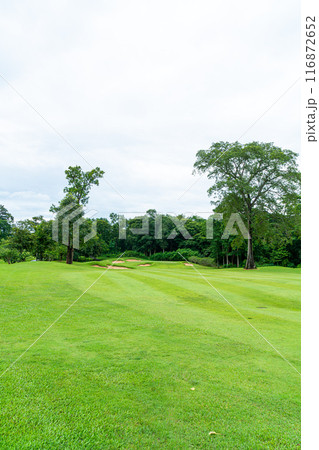 Green with Sand bunkers on Golf course 116872652
