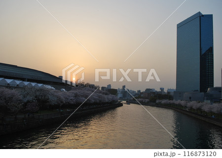 大阪 大阪 116873120