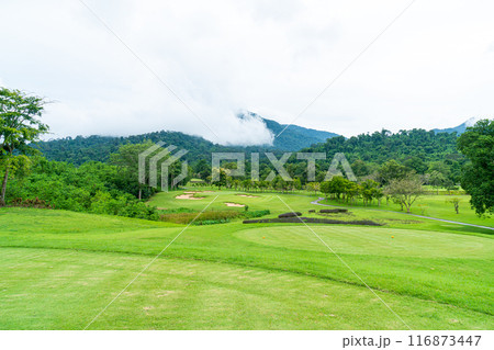 Green with Sand bunkers on Golf course Green with Sand bunkers on Golf course 116873447