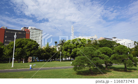 公園から見た街並み 公園から見た街並み 116873743