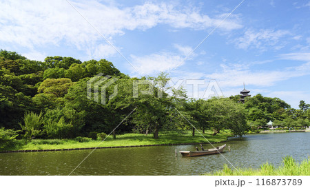 神奈川県横浜市本牧三渓園/三渓園の夏 神奈川県横浜市本牧三渓園/三渓園の夏 116873789