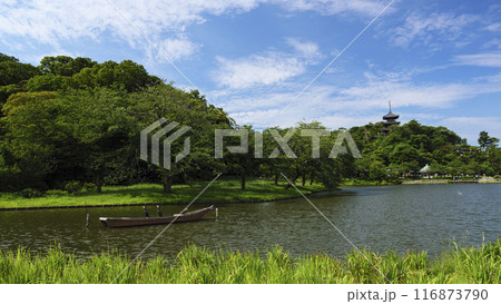 神奈川県横浜市本牧三渓園／三渓園の夏 116873790