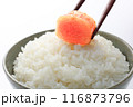 辛子明太子 116873796