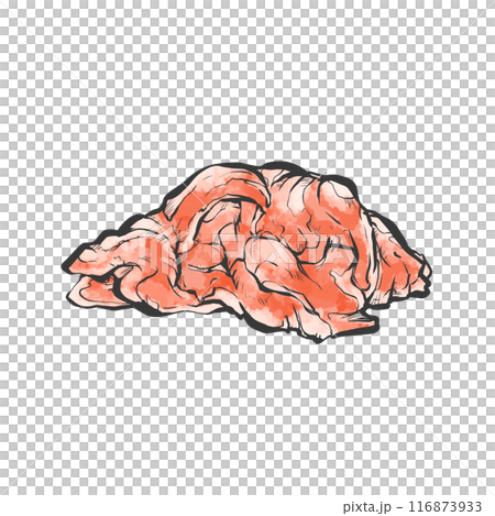 肉末手寫畫筆繪畫風格插畫 肉末手寫畫筆繪畫風格插畫 116873933