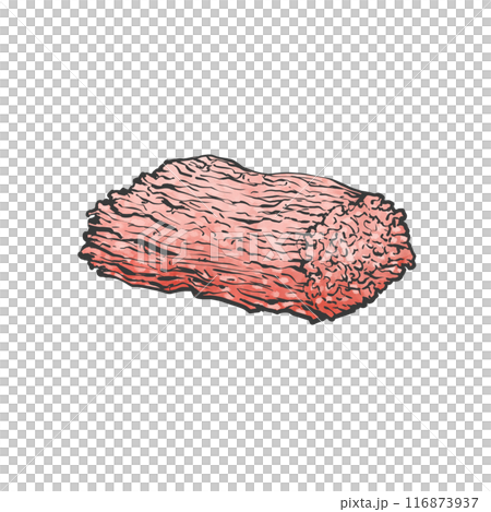 肉末手寫畫筆繪畫風格插畫 肉末手寫畫筆繪畫風格插畫 116873937