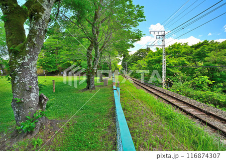 愛知県新城市　三河国「長篠城」と鳥居強右衛門　磔の場 116874307
