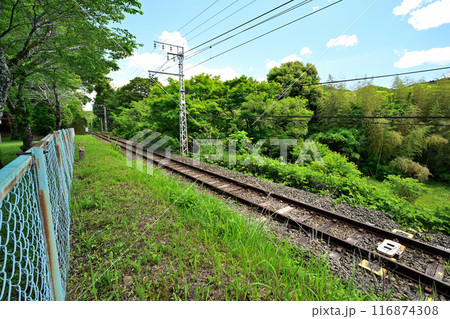 愛知県新城市　三河国「長篠城」と鳥居強右衛門　磔の場 116874308