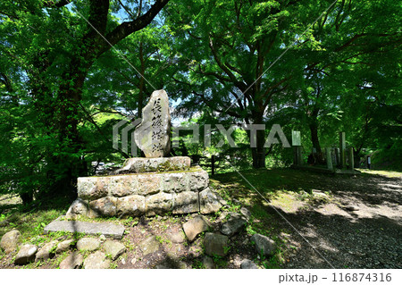 愛知県新城市 三河国「長篠城」と鳥居強右衛門 磔の場 愛知県新城市 三河国「長篠城」と鳥居強右衛門 磔の場 116874316