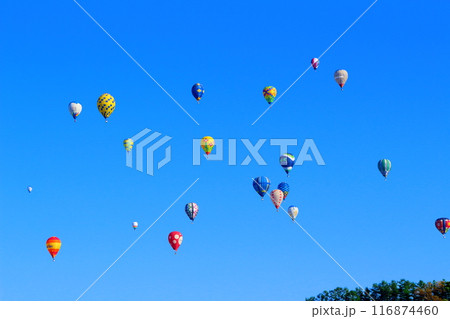 佐久バルーンフェスティバル 佐久バルーンフェスティバル 116874460