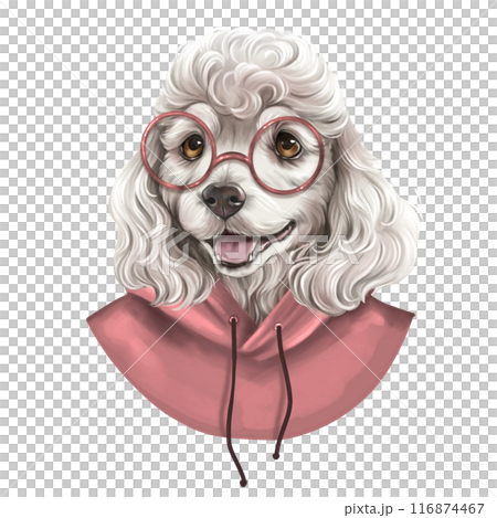 Cute white curly dog illustration. Puppy in hoody and glasses. Cute white curly dog illustration. Puppy in hoody and glasses. 116874467