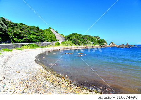 日の出が浦バス停付近の海岸(静岡県南伊豆町)【2024.7】 日の出が浦バス停付近の海岸(静岡県南伊豆町)【2024.7】 116874498