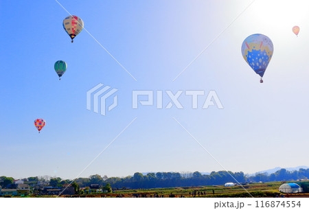 佐久バルーンフェスティバル 116874554