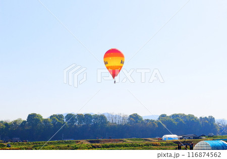 佐久バルーンフェスティバル 佐久バルーンフェスティバル 116874562
