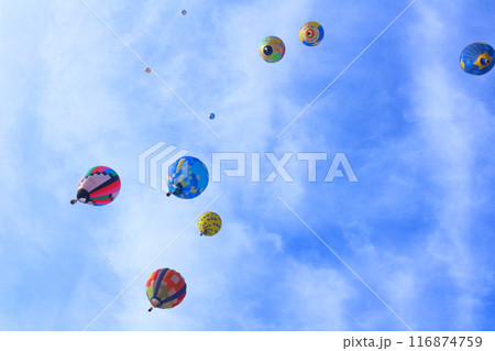 佐久バルーンフェスティバル 116874759