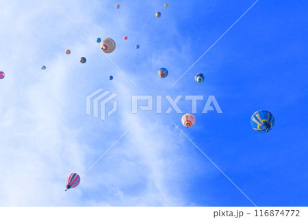 佐久バルーンフェスティバル 116874772