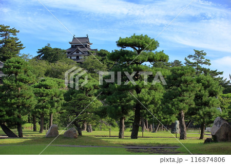 島根県にある青空が広がる夏の松江城 116874806