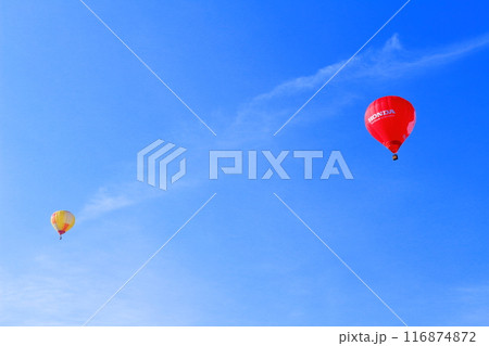 佐久バルーンフェスティバル 116874872