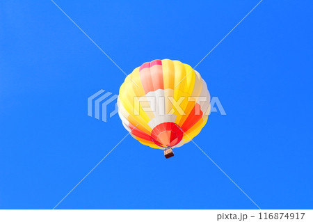 佐久バルーンフェスティバル 116874917