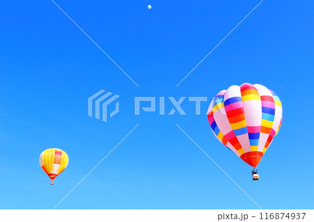 佐久バルーンフェスティバル 116874937