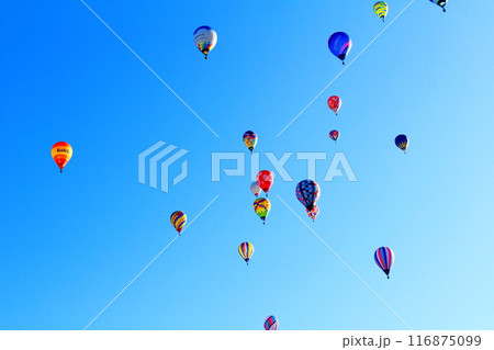 佐久バルーンフェスティバル 116875099