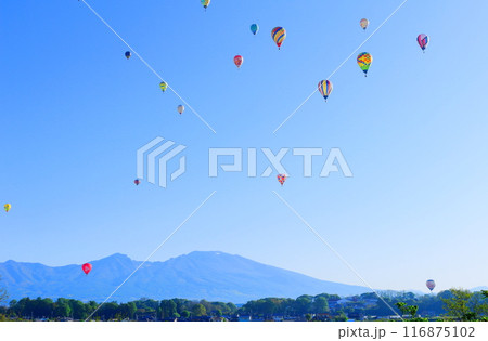 佐久バルーンフェスティバル 116875102