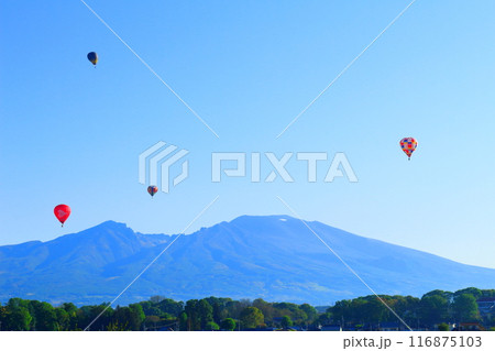 佐久バルーンフェスティバル 116875103