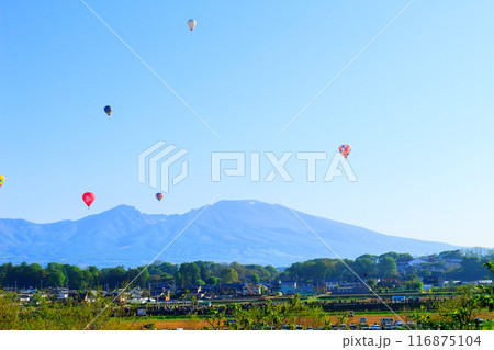 佐久バルーンフェスティバル 佐久バルーンフェスティバル 116875104