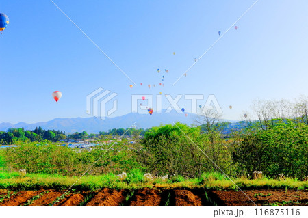 佐久バルーンフェスティバル 116875116