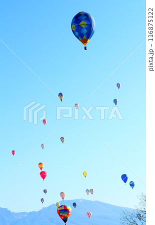 佐久バルーンフェスティバル 116875122