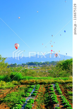 佐久バルーンフェスティバル 116875129