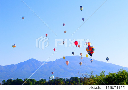 佐久バルーンフェスティバル 116875135