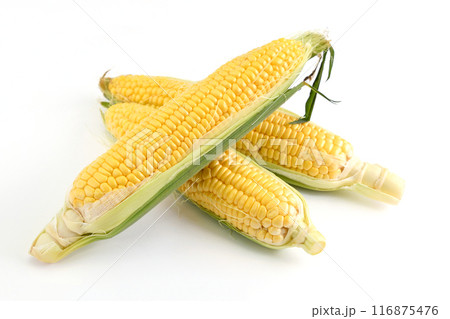 とうもろこし（夏祭り） 116875476