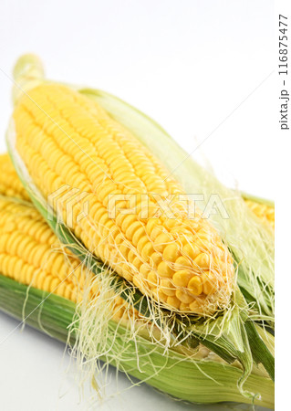 とうもろこし(夏祭り) とうもろこし(夏祭り) 116875477