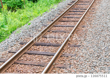 木製枕木とレール（線路イメージ） 116875511