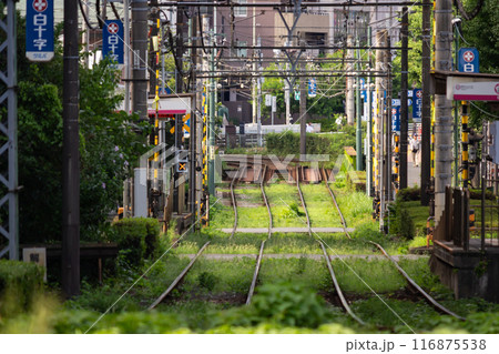 都電荒川線の線路 116875538