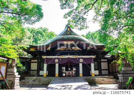王子神社 116875741