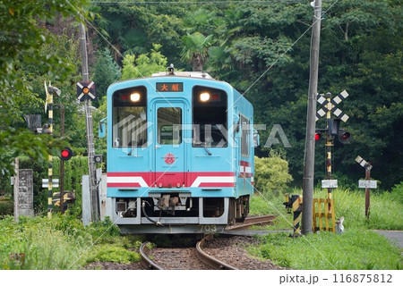 樽見鉄道 谷汲口駅付近にて 樽見鉄道 谷汲口駅付近にて 116875812