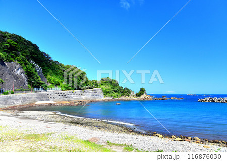 本瀬港付近の海岸(静岡県南伊豆町)【2024.7】 116876030