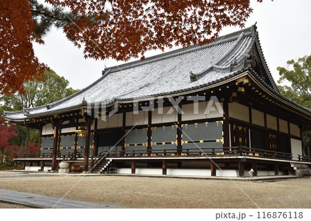 秋の仁和寺　金堂【国宝】 116876118