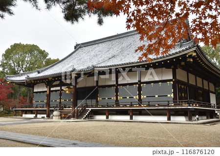 秋の仁和寺　金堂【国宝】 116876120