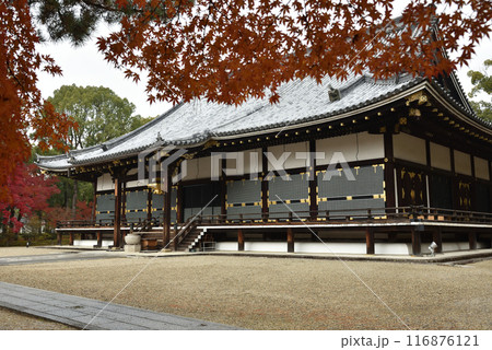 秋の仁和寺　金堂【国宝】 116876121