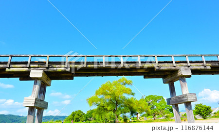 歴史感じる木造橋 蓬莱橋 歴史感じる木造橋 蓬莱橋 116876144