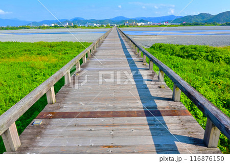 大井川に架かる 世界一長い木造歩道橋 蓬莱橋 116876150