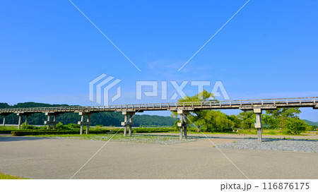 歴史感じる木造橋　蓬莱橋 116876175