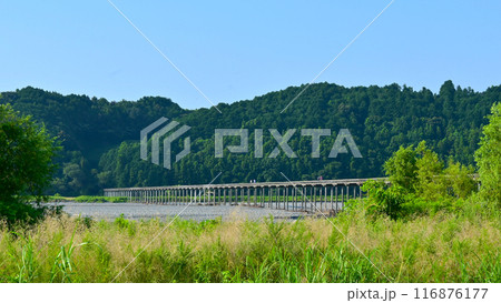 歴史感じる木造橋　蓬莱橋 116876177