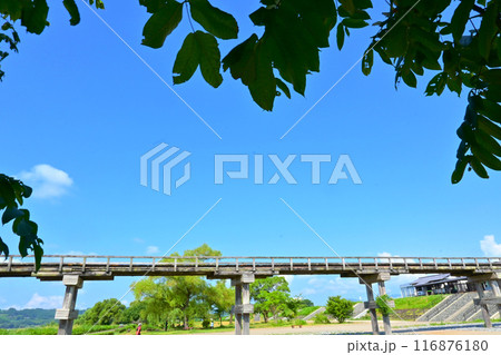 歴史感じる木造橋　蓬莱橋 116876180